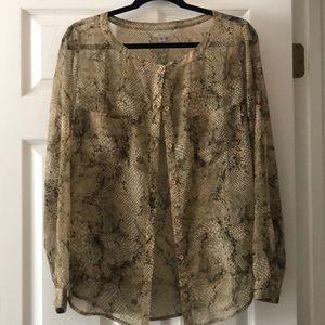 Sheer urban outfitters blouse